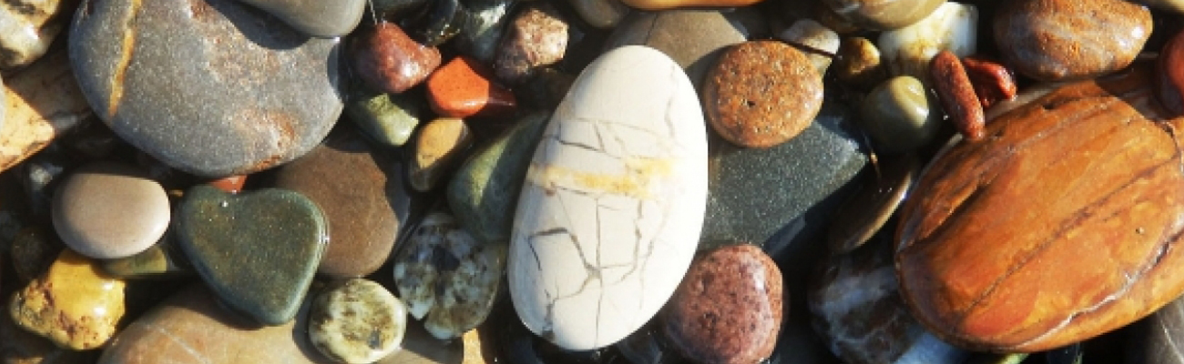 Kép